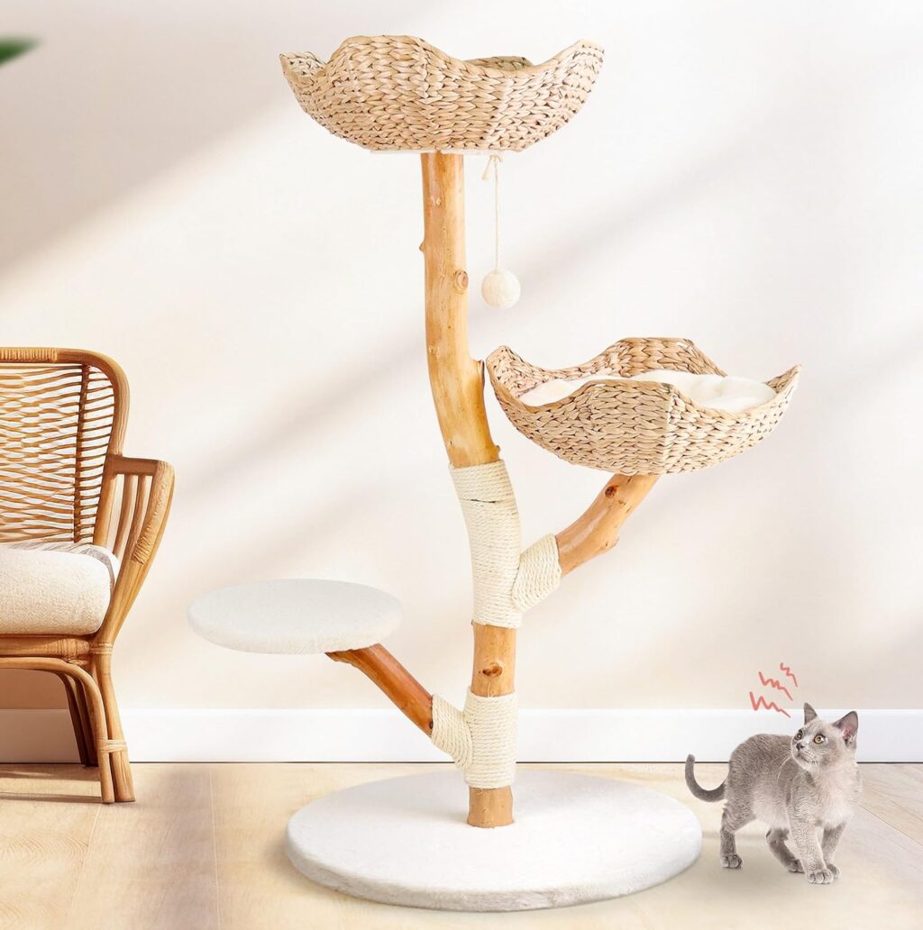 The Ultimate Valentine's Day Gift for Cat Lovers 2026